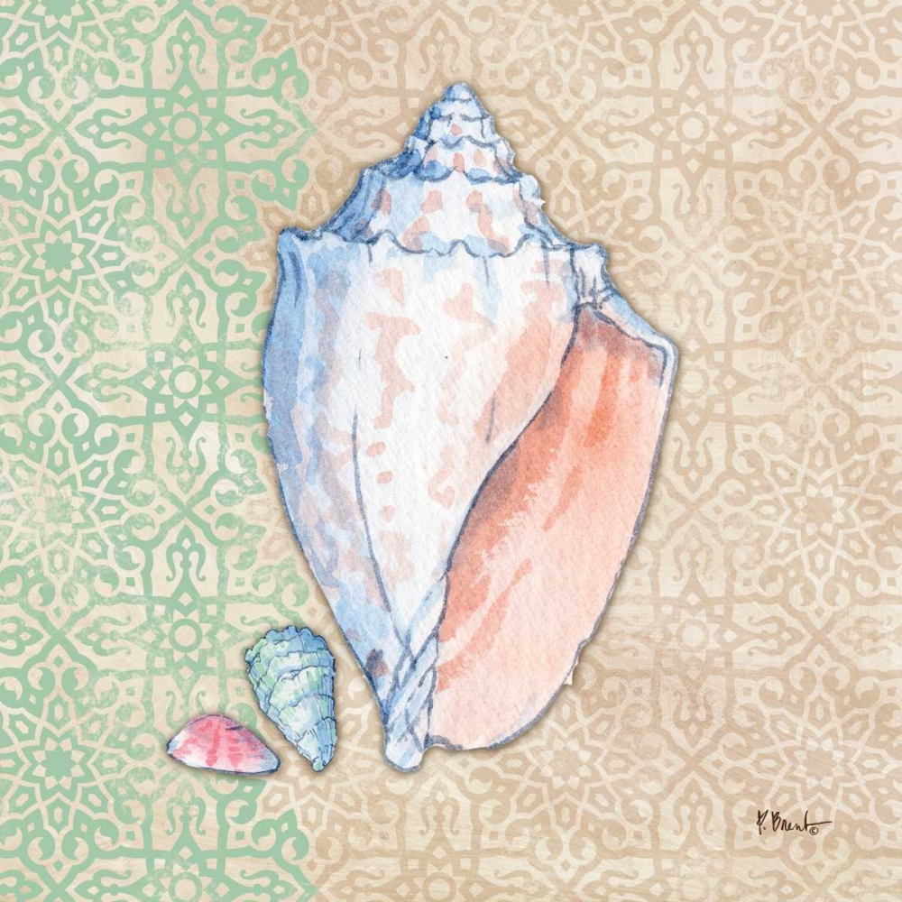 Serene Seashells III art print by Paul Brent for $57.95 CAD