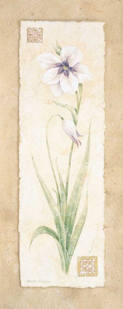 Gladiola art print by Pamela Gladding for $57.95 CAD