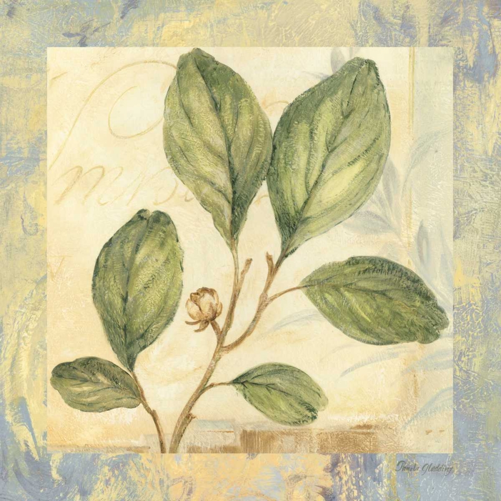 Leaf Botanicals IV art print by Pamela Gladding for $57.95 CAD