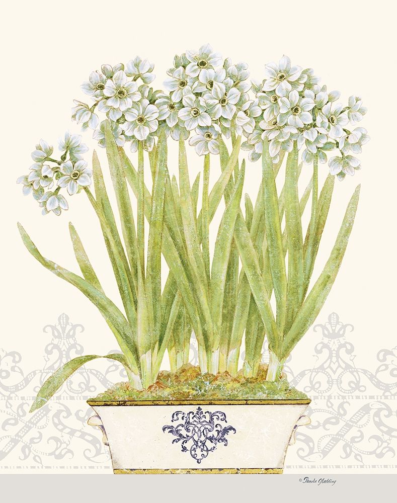 Imperial Narcissus art print by Pamela Gladding for $57.95 CAD