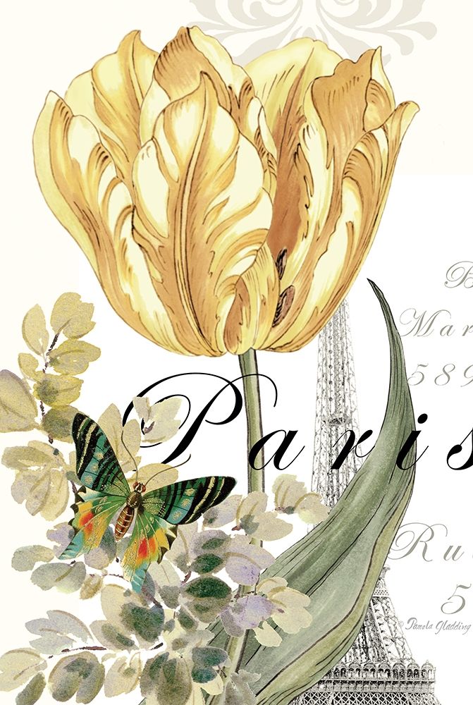 Paris Tulip art print by Pamela Gladding for $57.95 CAD