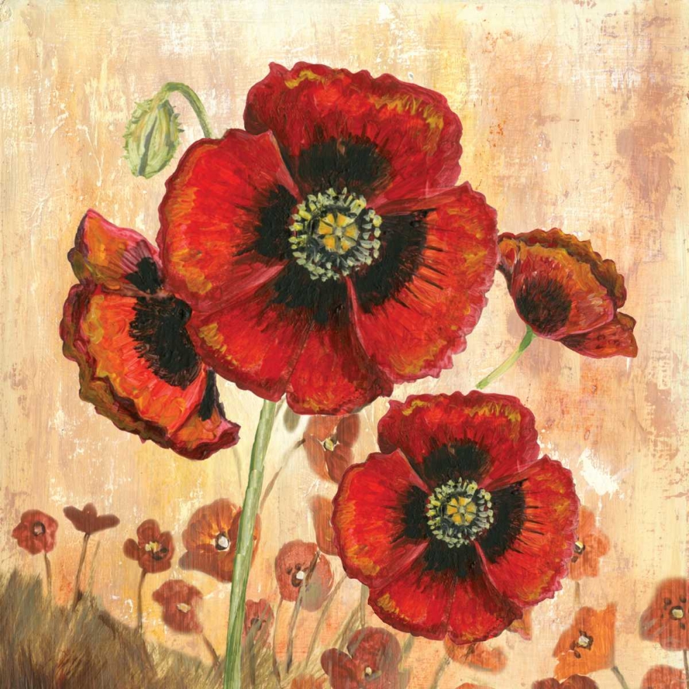 Big Red Poppies I art print by Gregory Gorham for $57.95 CAD