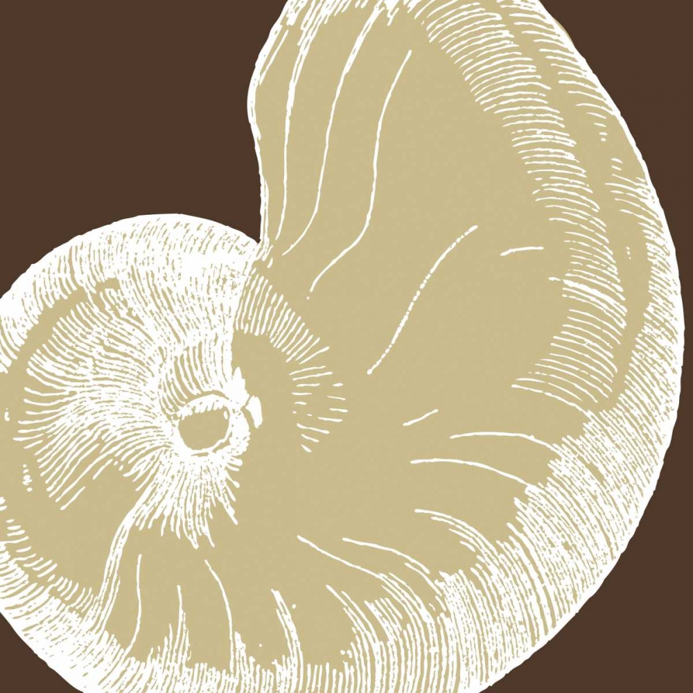 Natural Shell II art print by N Harbick for $57.95 CAD