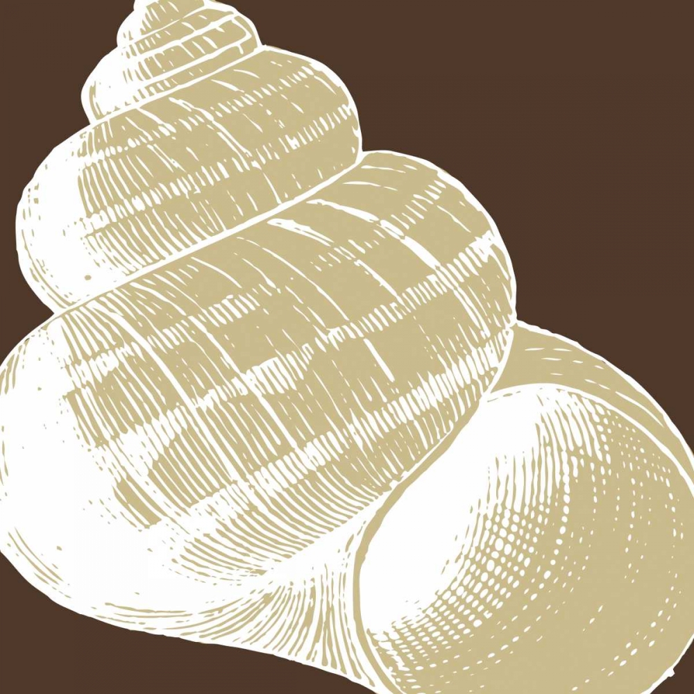 Natural Shell III art print by N Harbick for $57.95 CAD