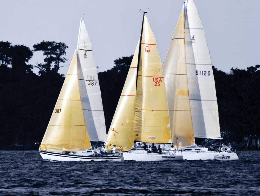 Race at Annapolis I art print by Alan Hausenflock for $57.95 CAD