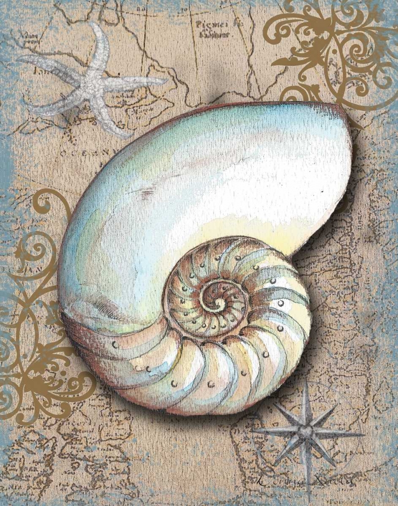 Nautical Treasures III art print by Donna Knold for $57.95 CAD