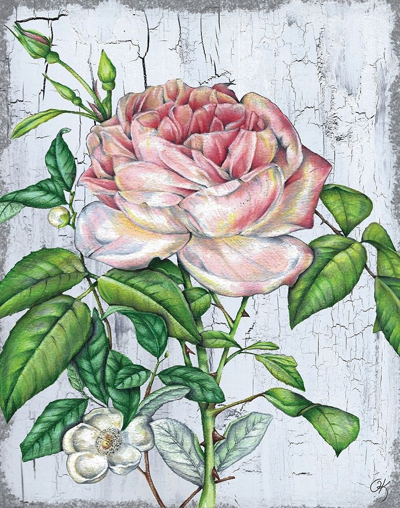Rose art print by Onna K for $57.95 CAD