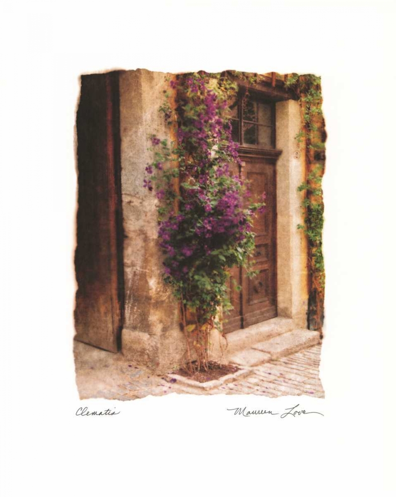 Clematis art print by Maureen Love for $57.95 CAD