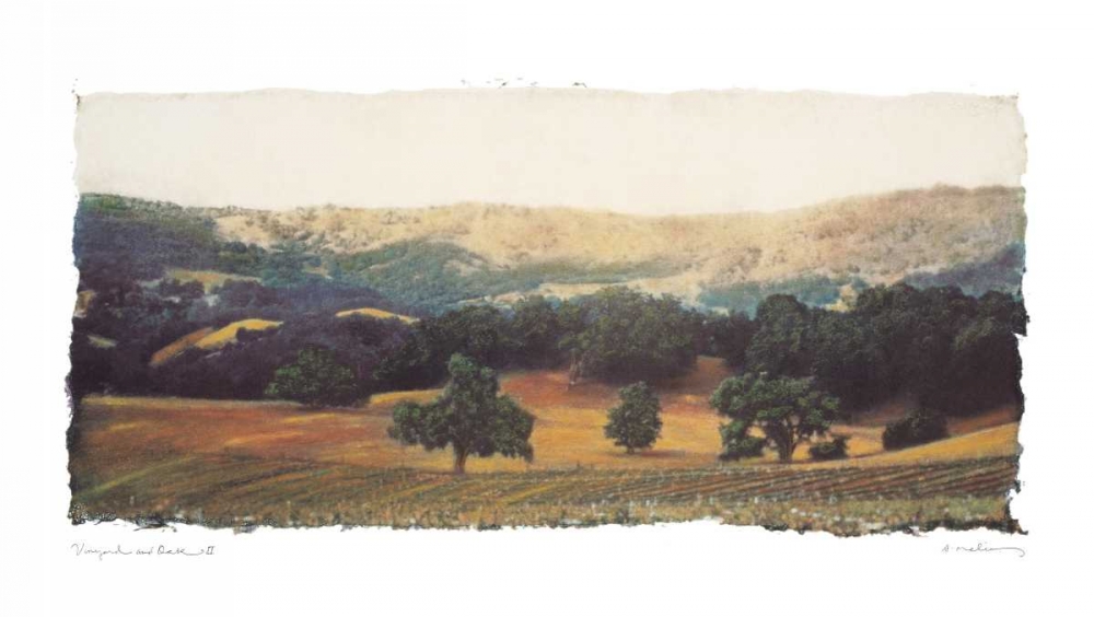 Vineyard and Oak II art print by Amy Melious for $57.95 CAD