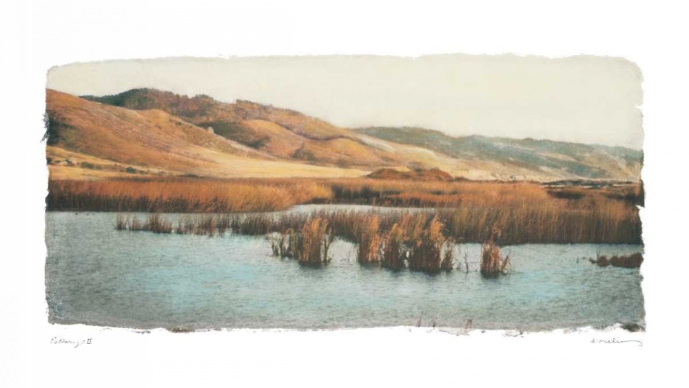 Estuary II art print by Amy Melious for $57.95 CAD