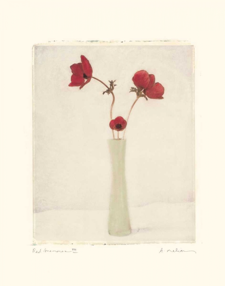 Red Anemones III art print by Amy Melious for $57.95 CAD