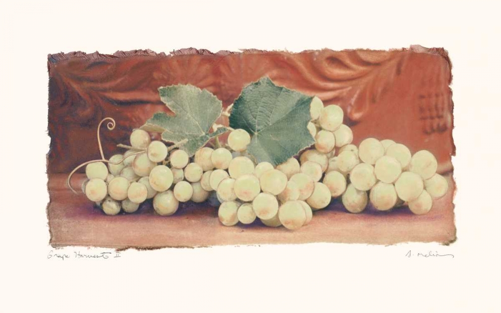 Grape Harvest II art print by Amy Melious for $57.95 CAD