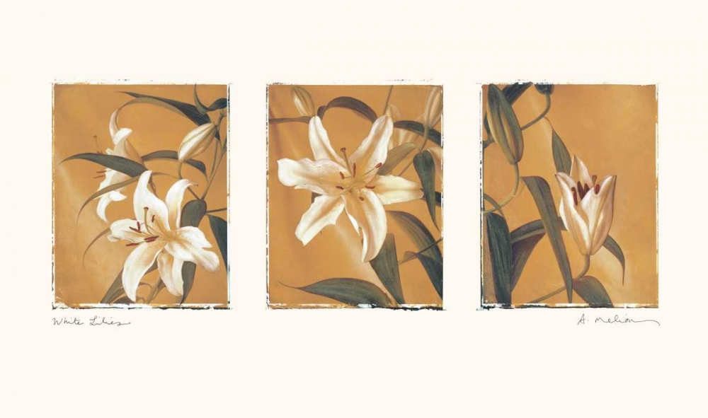 White Lilies art print by Amy Melious for $57.95 CAD