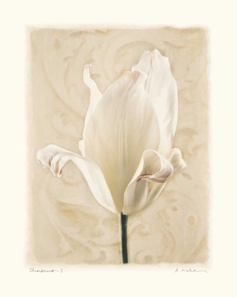 Chiaroscuro I art print by Amy Melious for $57.95 CAD