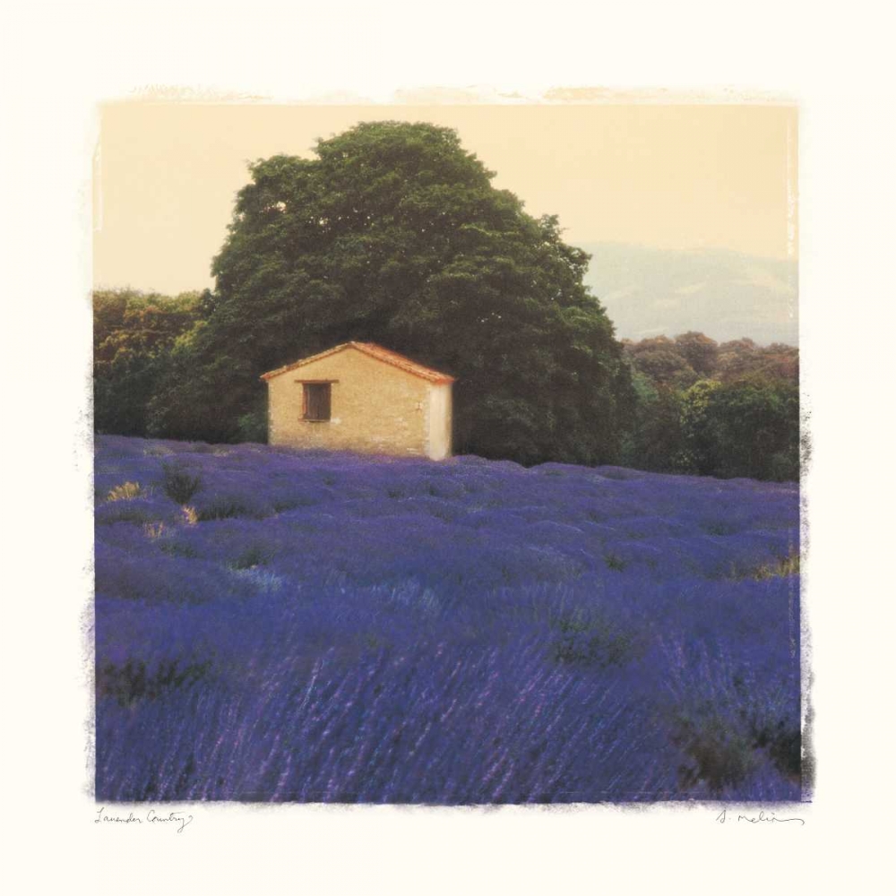Lavender Country art print by Amy Melious for $57.95 CAD