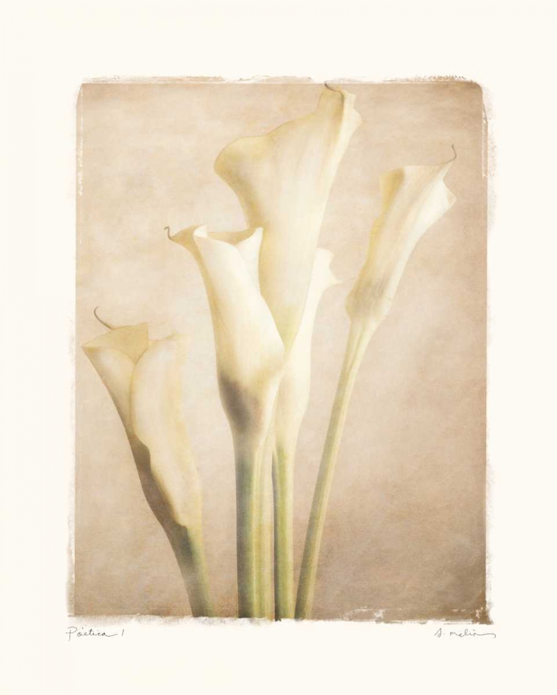 Poetica I art print by Amy Melious for $57.95 CAD