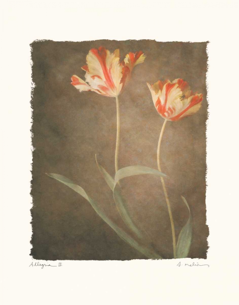 Allegria III art print by Amy Melious for $57.95 CAD
