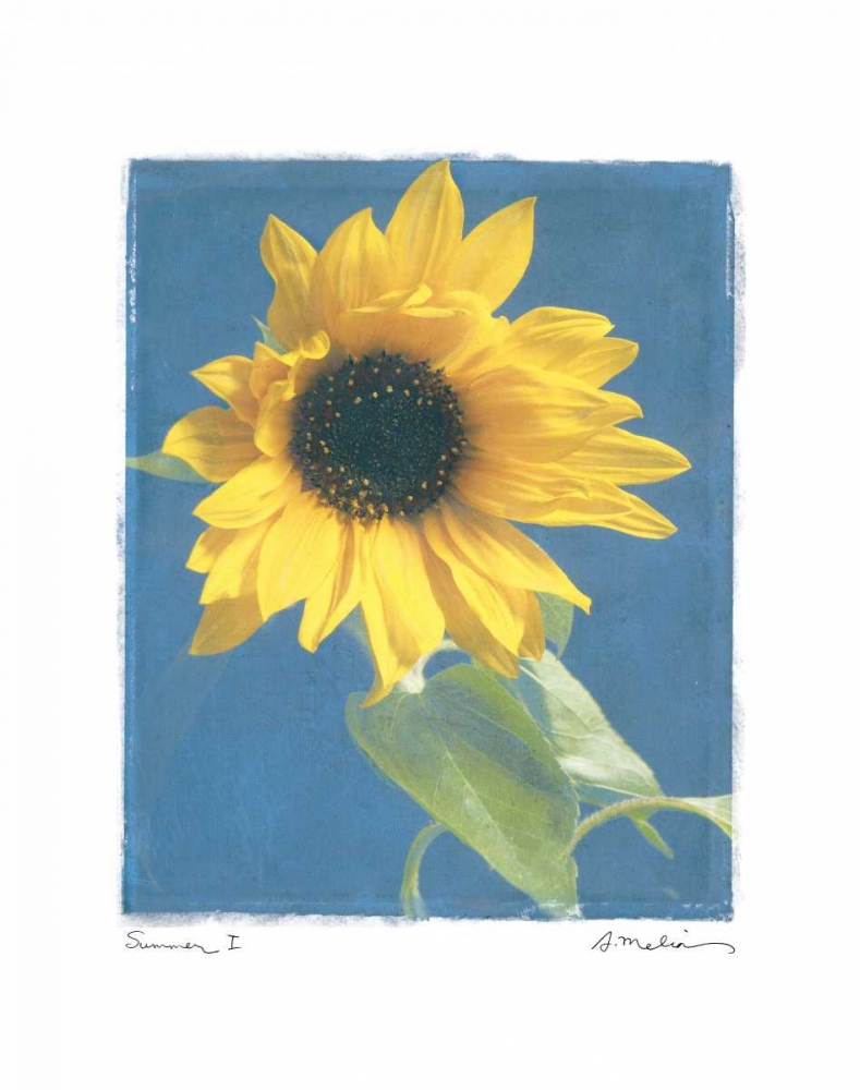 Summer I art print by Amy Melious for $57.95 CAD