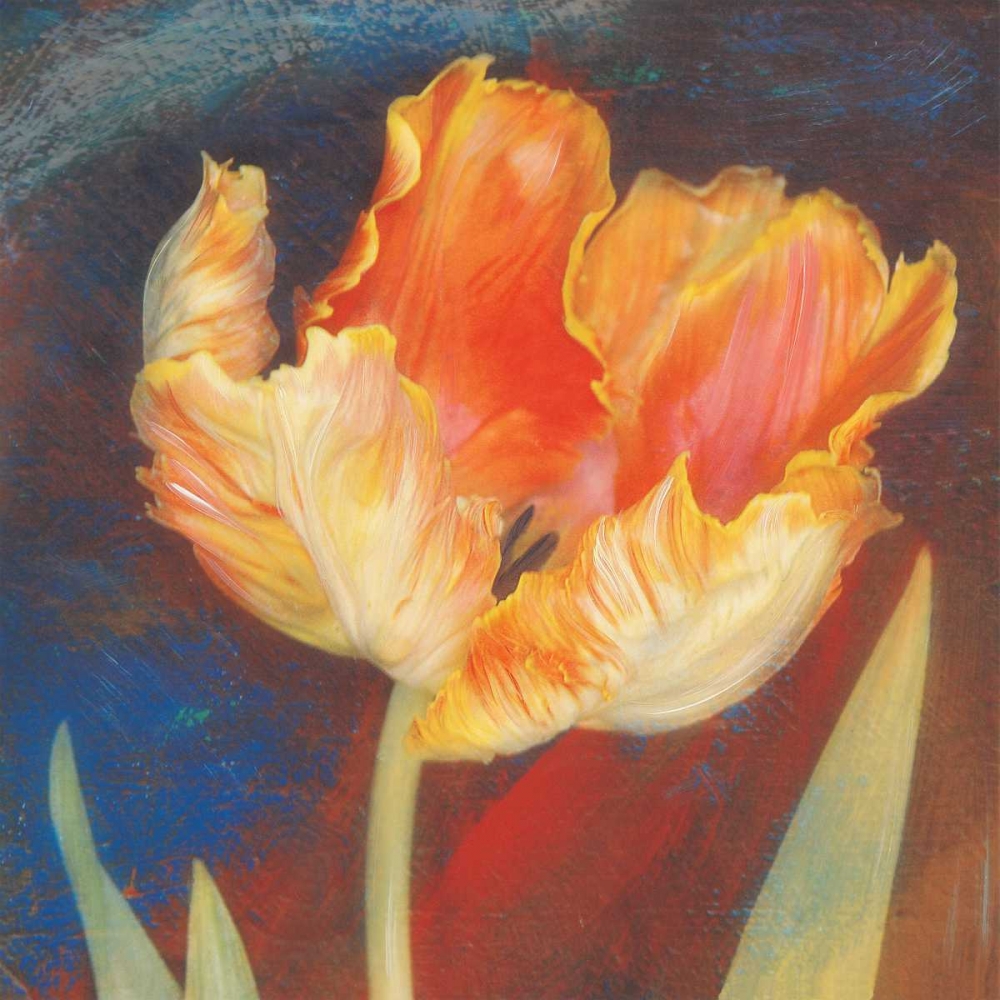 Dusk Tulip I art print by Amy Melious for $57.95 CAD