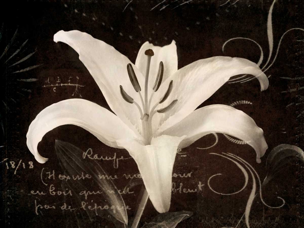 Garden Journal III art print by Amy Melious for $57.95 CAD