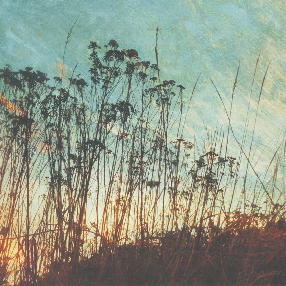 Wild Grass I art print by Amy Melious for $57.95 CAD