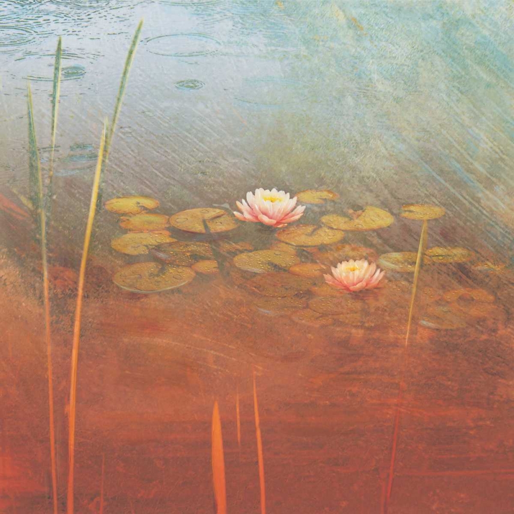 Pond Lilies II art print by Amy Melious for $57.95 CAD
