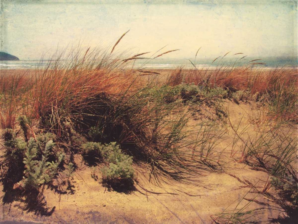 Sand Dunes I art print by Amy Melious for $57.95 CAD