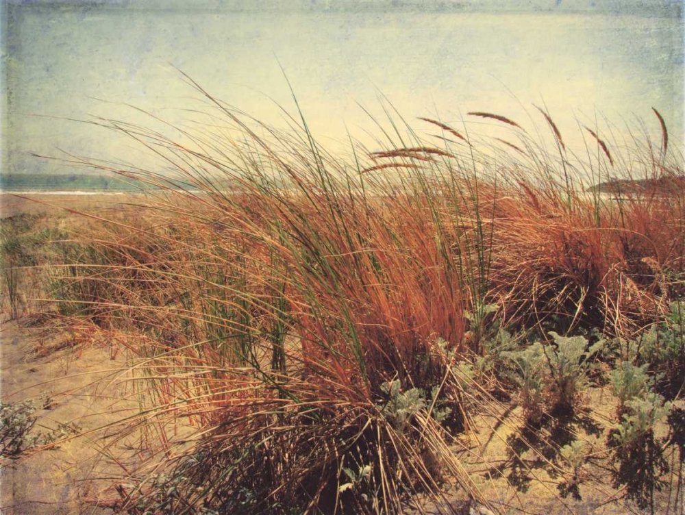 Sand Dunes II art print by Amy Melious for $57.95 CAD