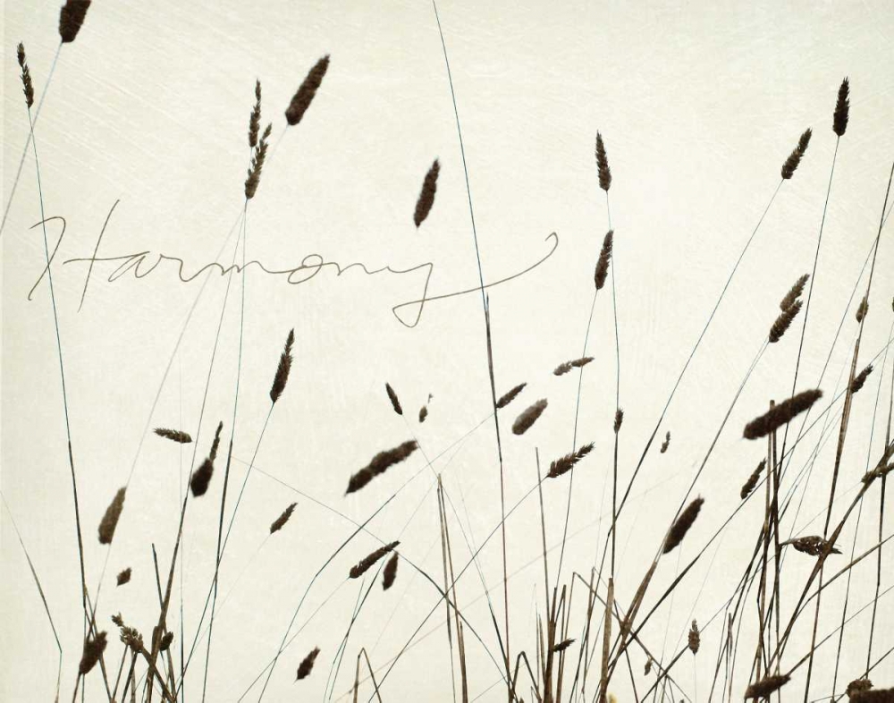 Grass Harmony art print by Amy Melious for $57.95 CAD