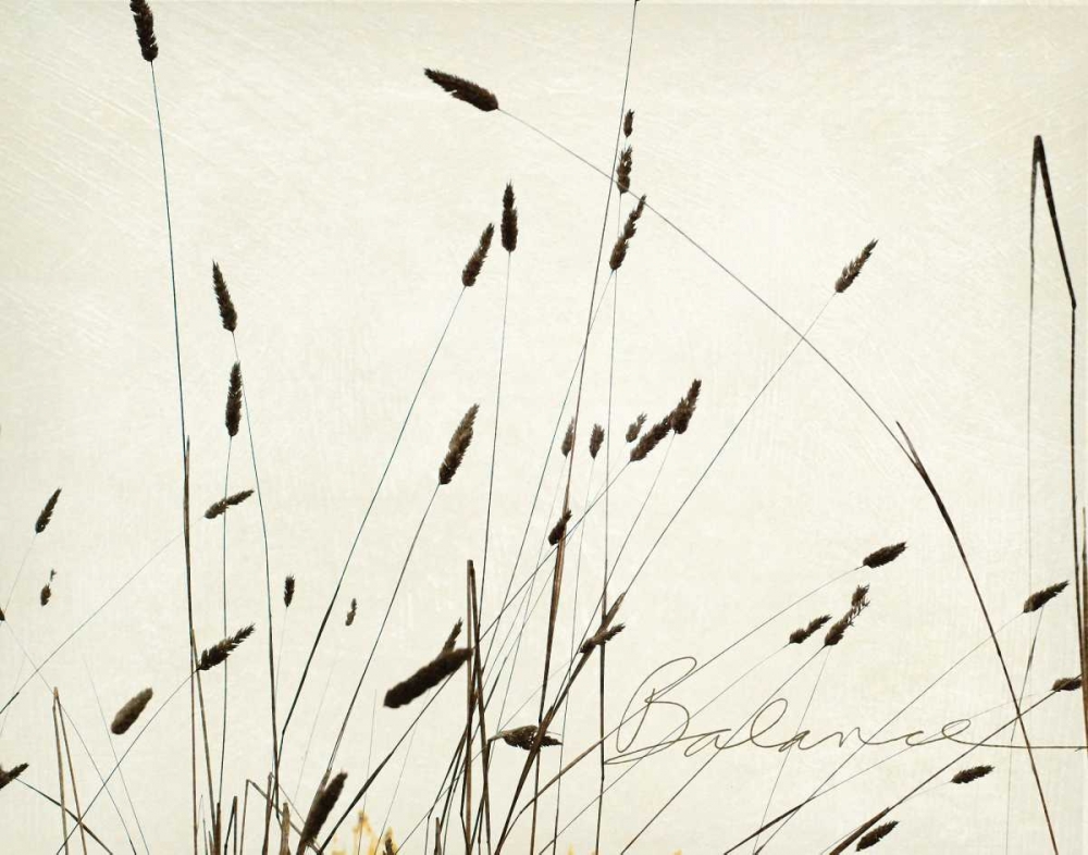 Grass Balance art print by Amy Melious for $57.95 CAD
