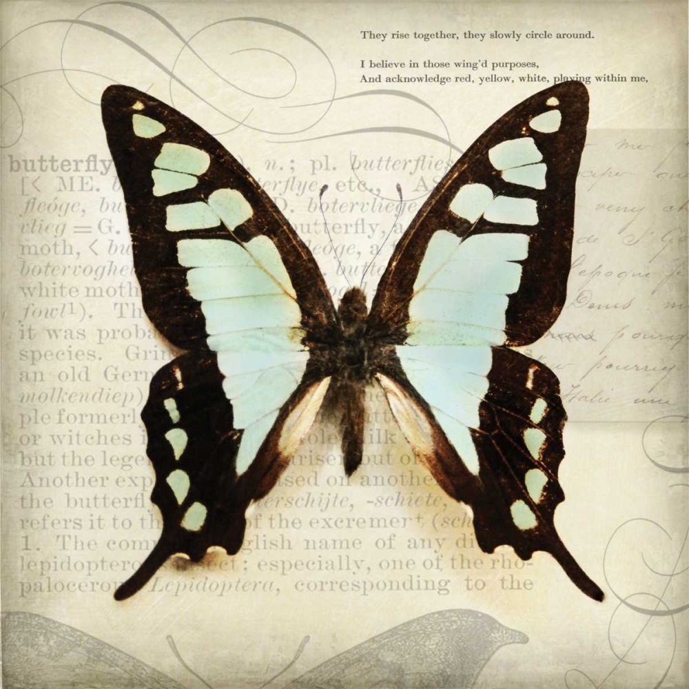 Butterflies Script I art print by Amy Melious for $57.95 CAD