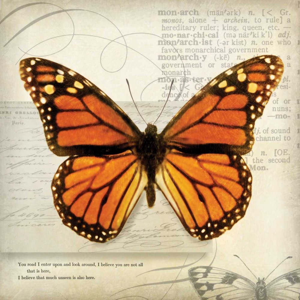 Butterflies Script II art print by Amy Melious for $57.95 CAD