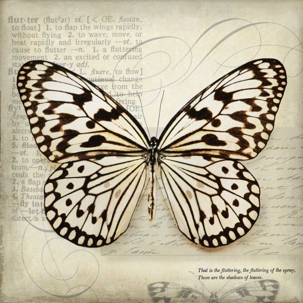 Butterflies Script III art print by Amy Melious for $57.95 CAD
