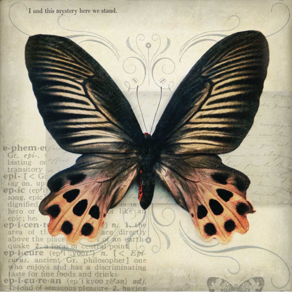 Butterflies Script IV art print by Amy Melious for $57.95 CAD