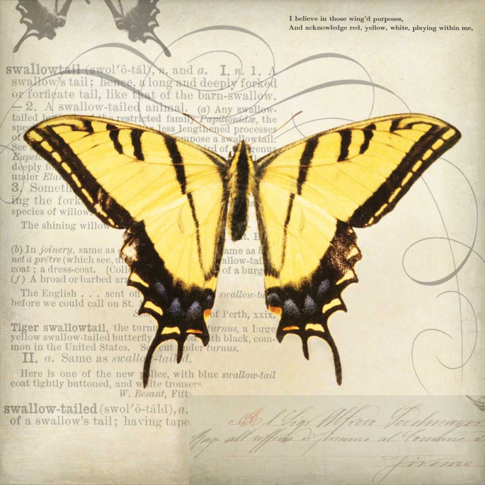 Butterflies Script V art print by Amy Melious for $57.95 CAD