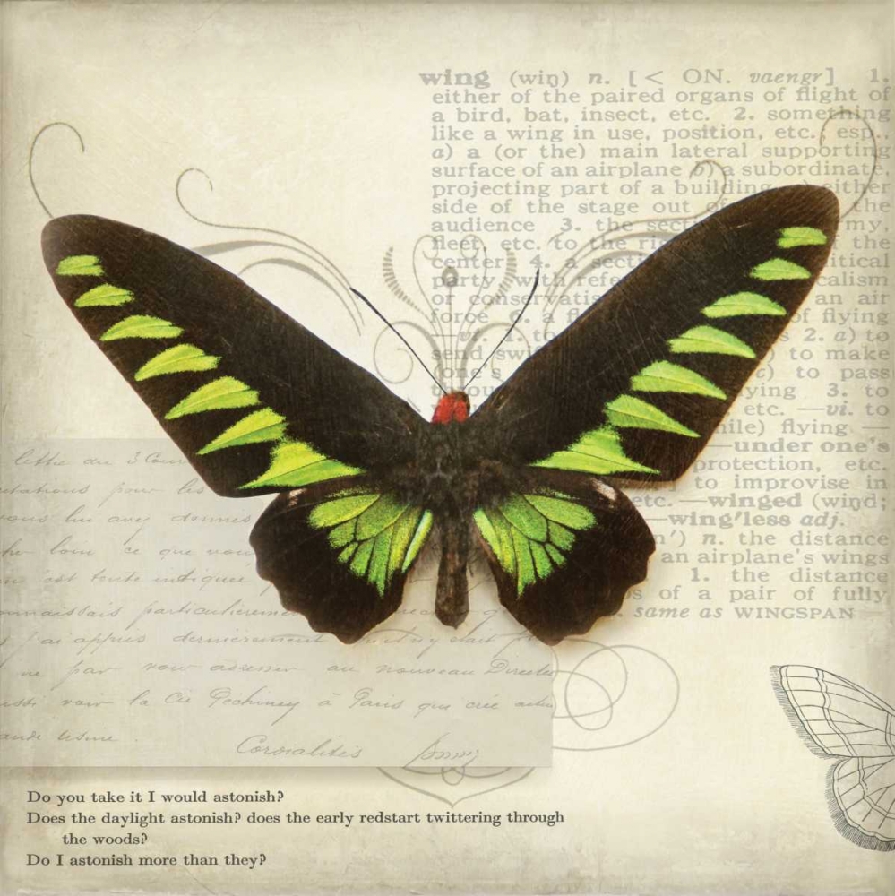 Butterflies Script VI art print by Amy Melious for $57.95 CAD