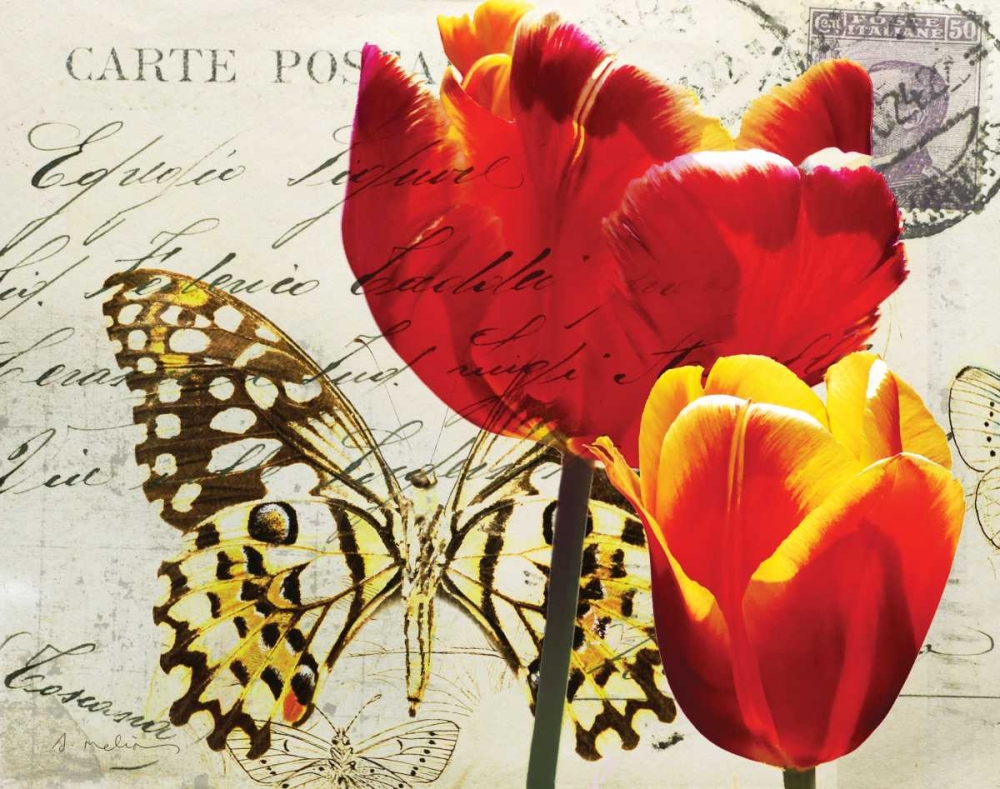 Carte Postale Tulip II art print by Amy Melious for $57.95 CAD