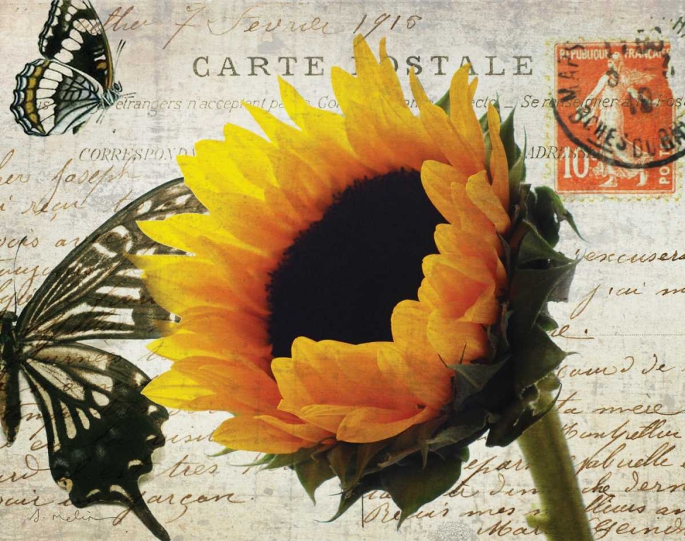 Carte Postale Sunflower art print by Amy Melious for $57.95 CAD
