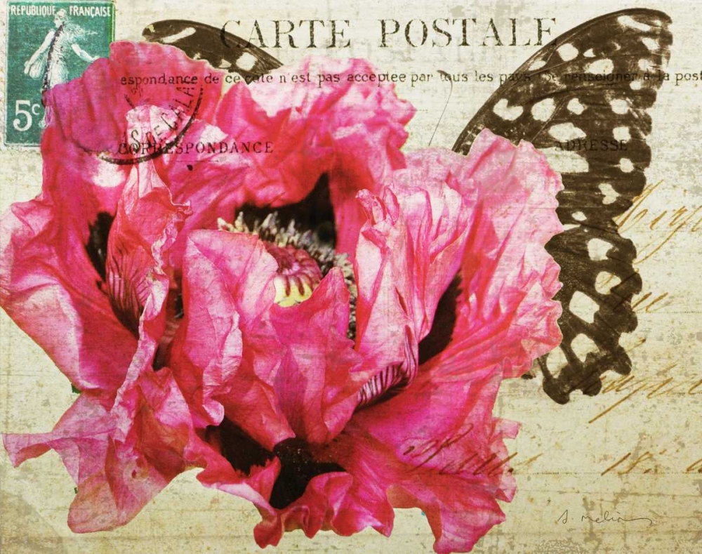 Carte Postale Poppy art print by Amy Melious for $57.95 CAD