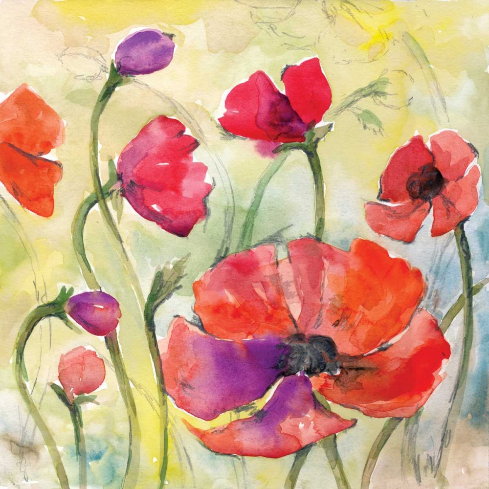 Poppy Study II art print by Margaret Ferry for $57.95 CAD