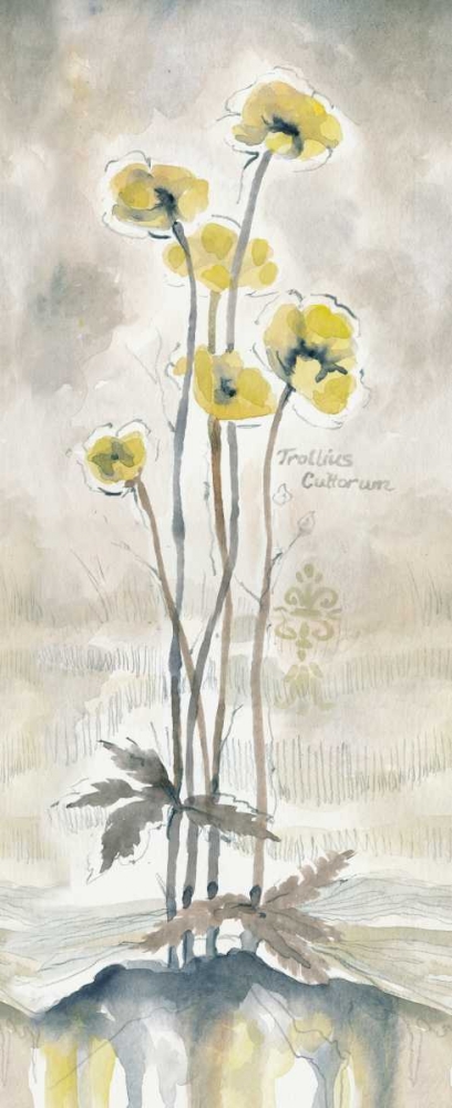 Yellow Blossoms I art print by Margaret Ferry for $57.95 CAD