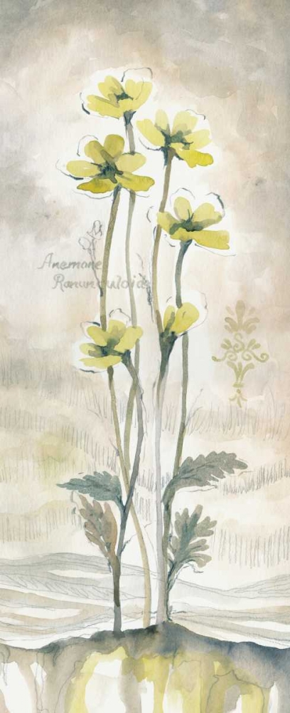 Yellow Blossoms II art print by Margaret Ferry for $57.95 CAD