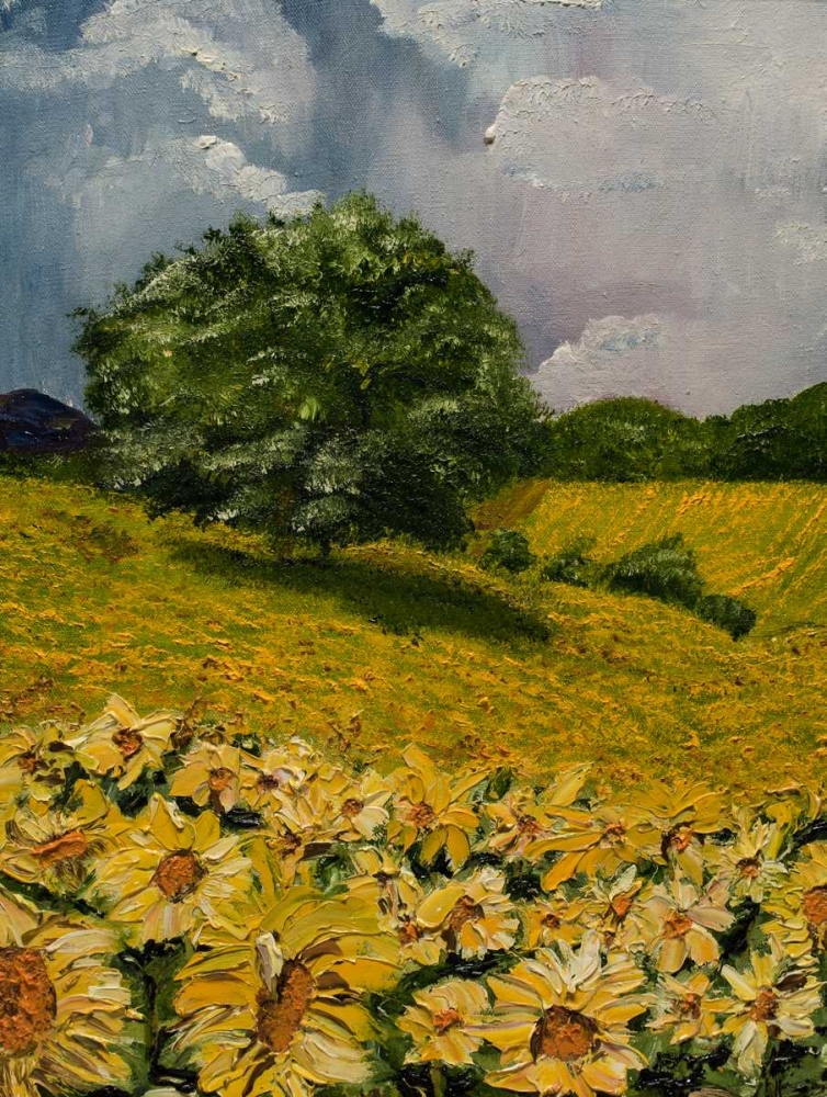 Tuscan Sunflowers II art print by Jodi Monahan for $57.95 CAD