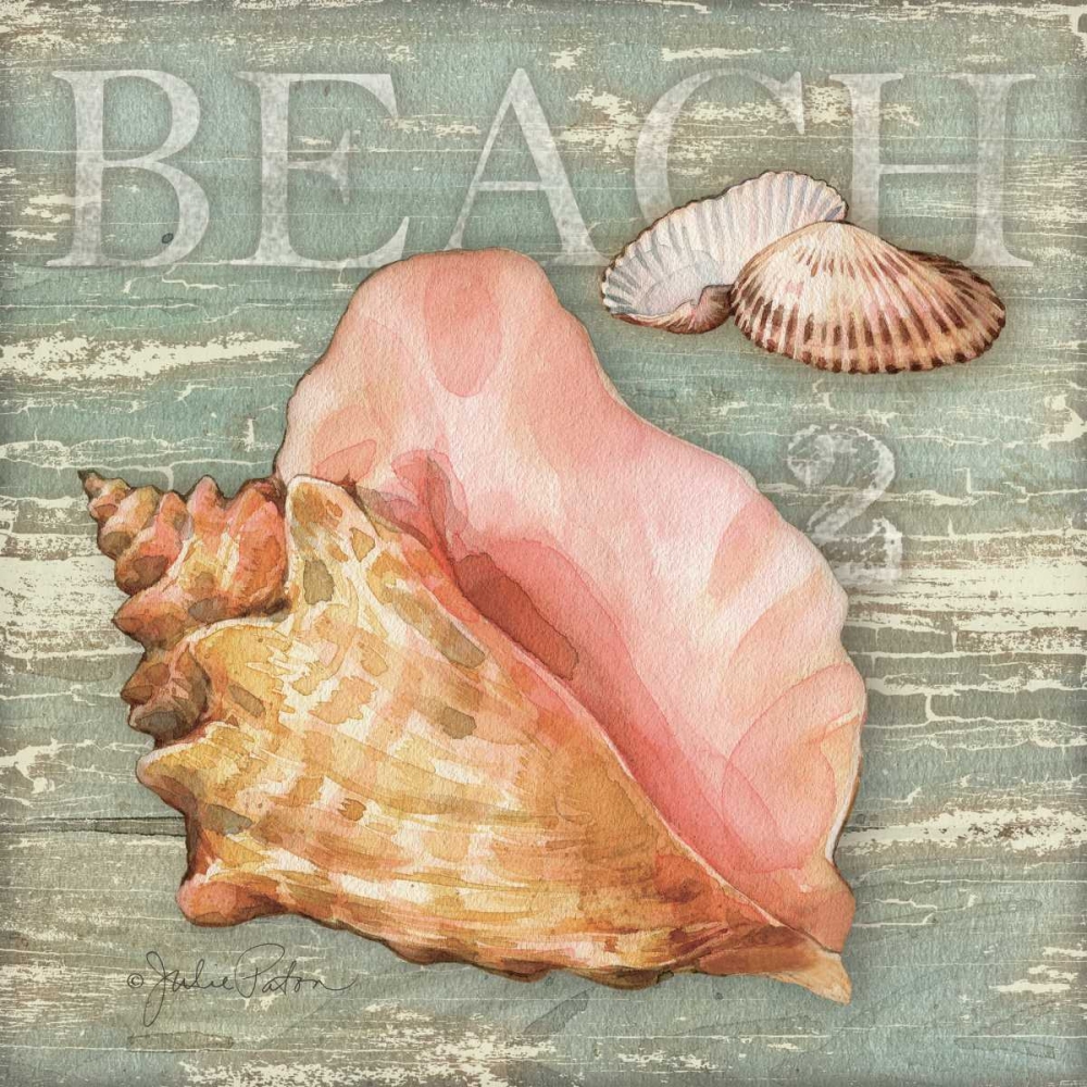 Beach Shells Conch art print by Julie Paton for $57.95 CAD