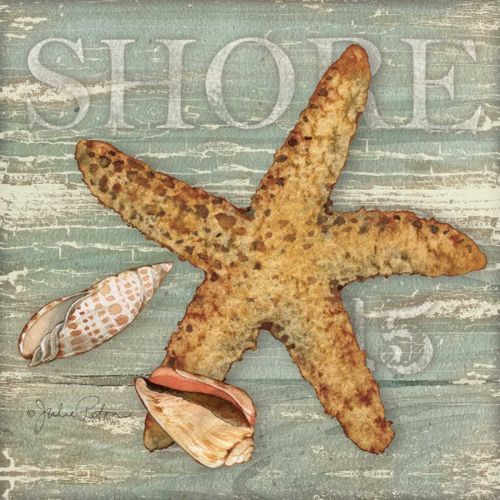 Beach Shells Starfish art print by Julie Paton for $57.95 CAD