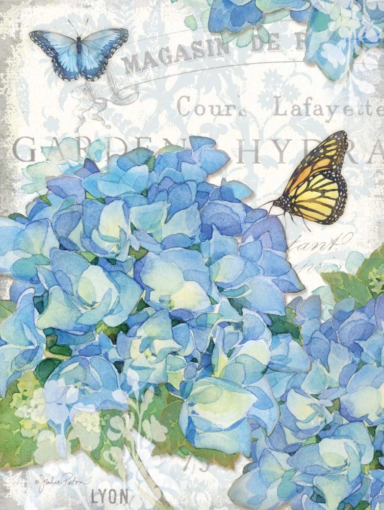 Garden Hydrangea I art print by Julie Paton for $57.95 CAD