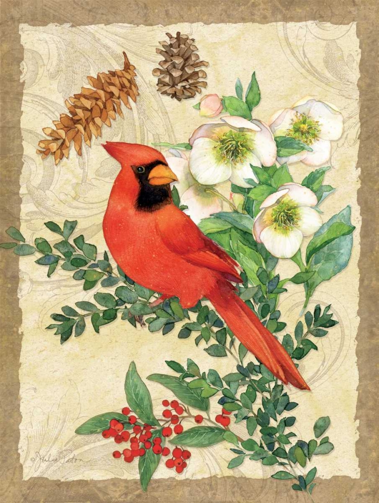 Holiday Cardinal art print by Julie Paton for $57.95 CAD