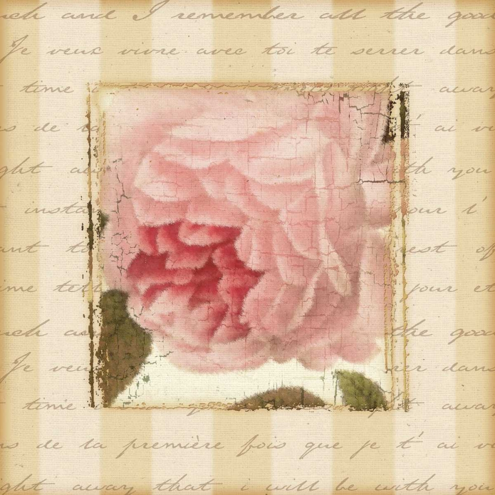 Rose and Romance II art print by Pela Design for $57.95 CAD