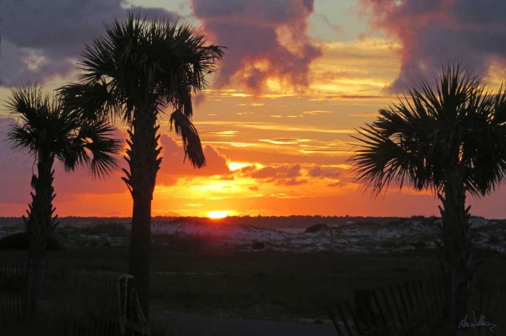 Sunset Palms I art print by Alex Williams for $57.95 CAD