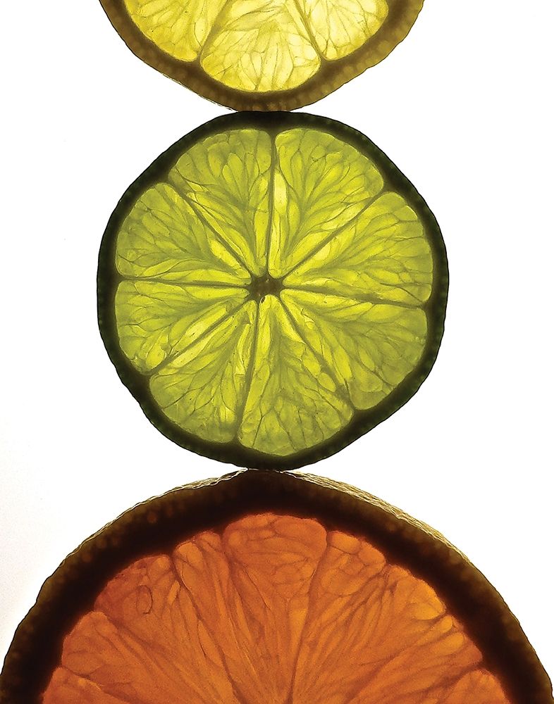 Sliced Fruit IV art print by Monika Burkhart for $57.95 CAD